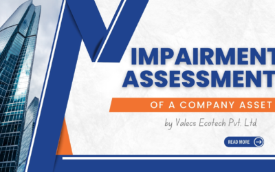 Impairment Assessment of a Company Asset